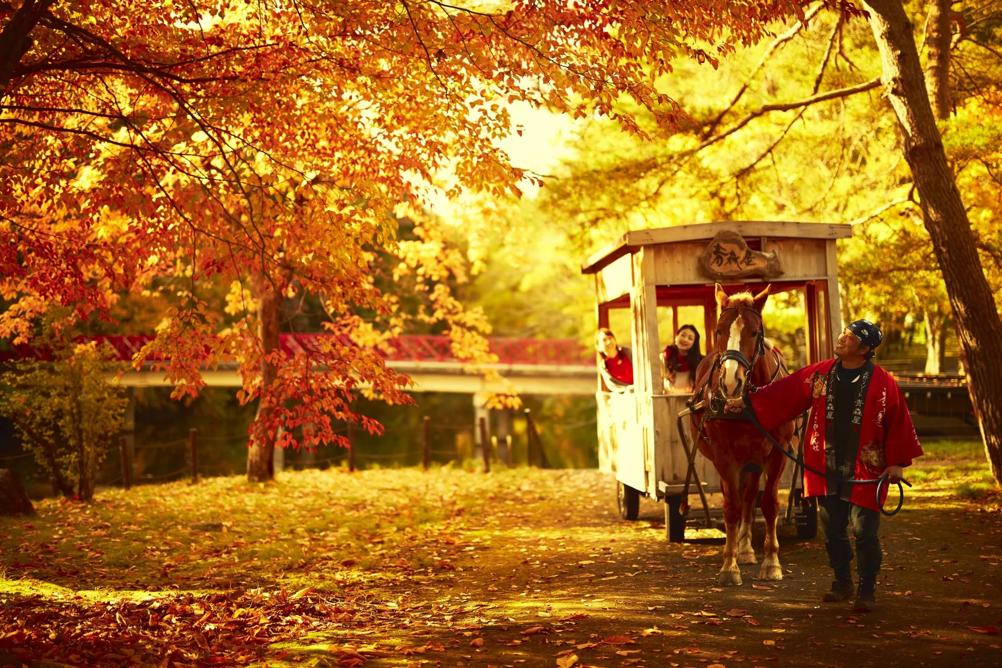 紅葉りんご馬車のイメージ画像