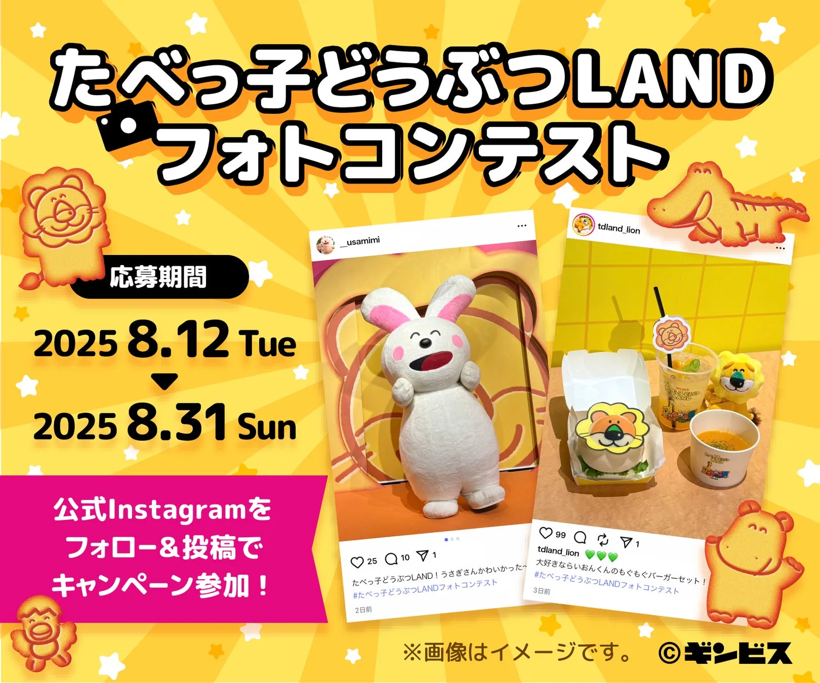フォトコンテスト