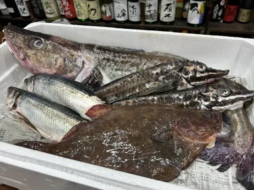 新鮮な魚介が並ぶ様子