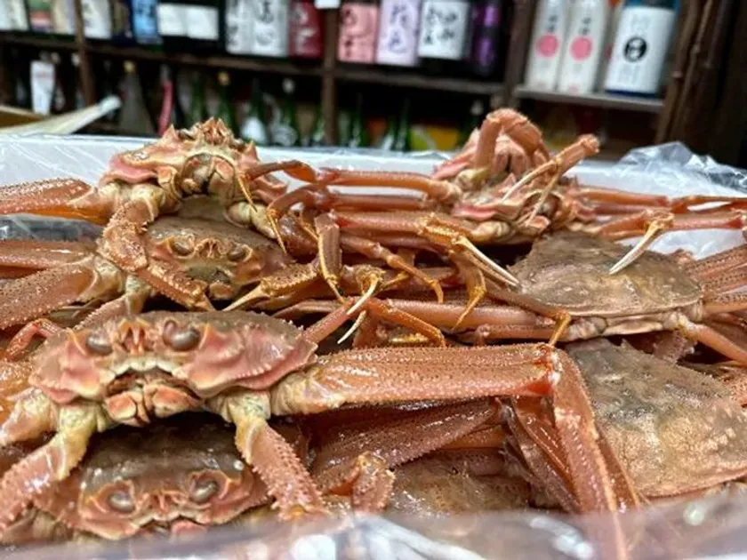 ズワイガニの山