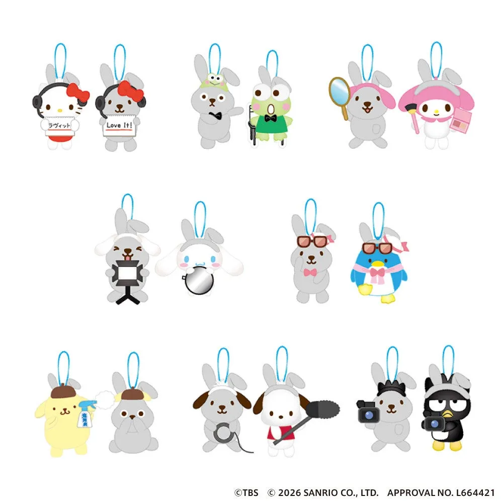 サンリオキャラクターのウサギのキーホルダーのイラスト。ハローキティ、マイメロディ、シナモロールなど、様々なキャラクターがウサギの姿で表現されています。