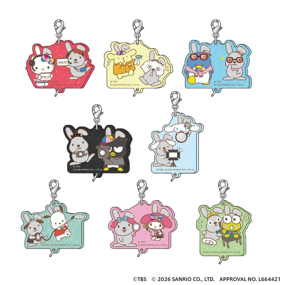 様々なサンリオキャラクターが描かれたキーホルダーのセット。ハローキティ、マイメロディ、ポチャッコ、バッドばつ丸、クロミ、シナモロール、けろけろけろっぴなど、様々なキャラクターがデザインされている。