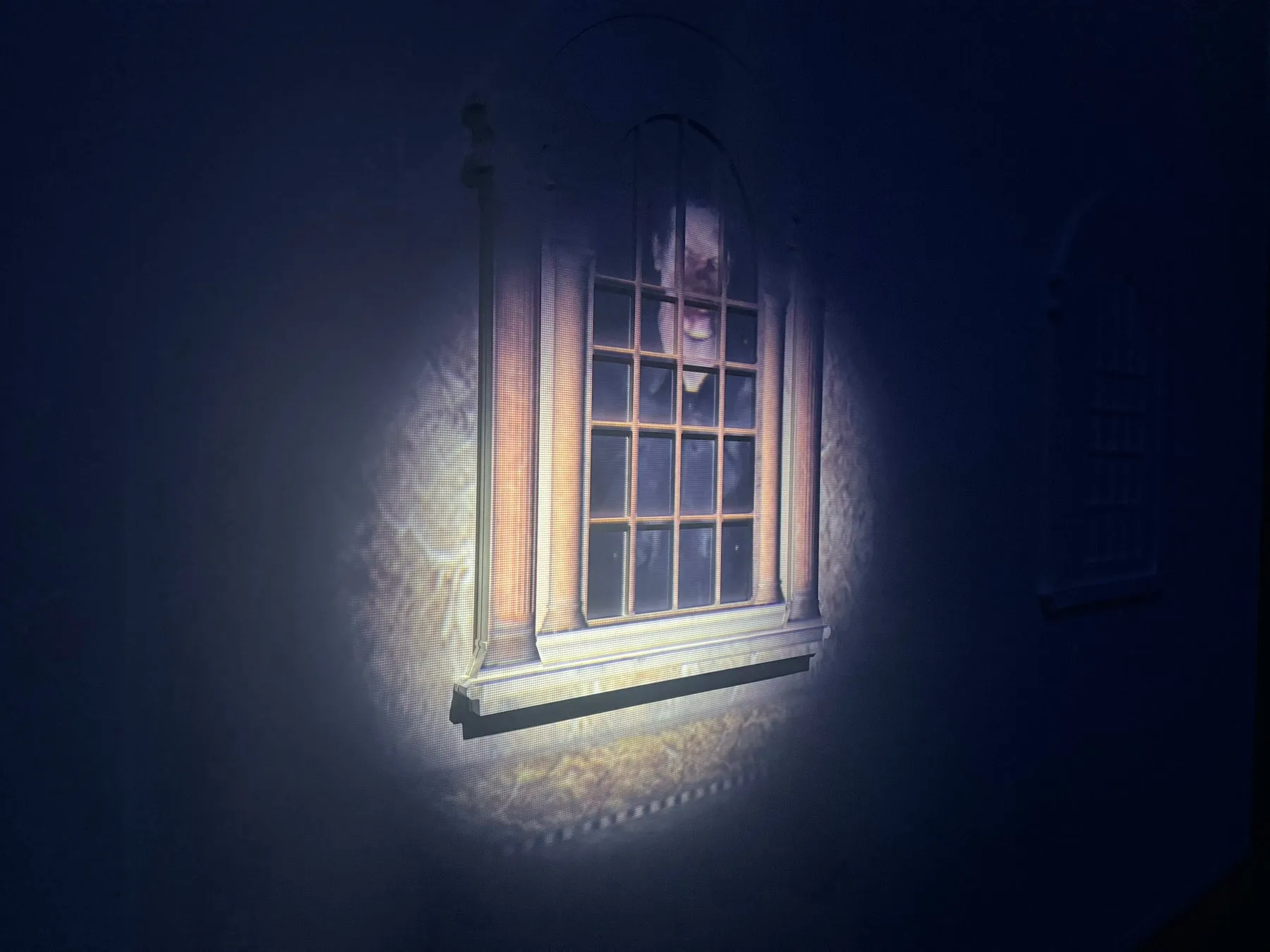 窓から顔を覗かせている人物