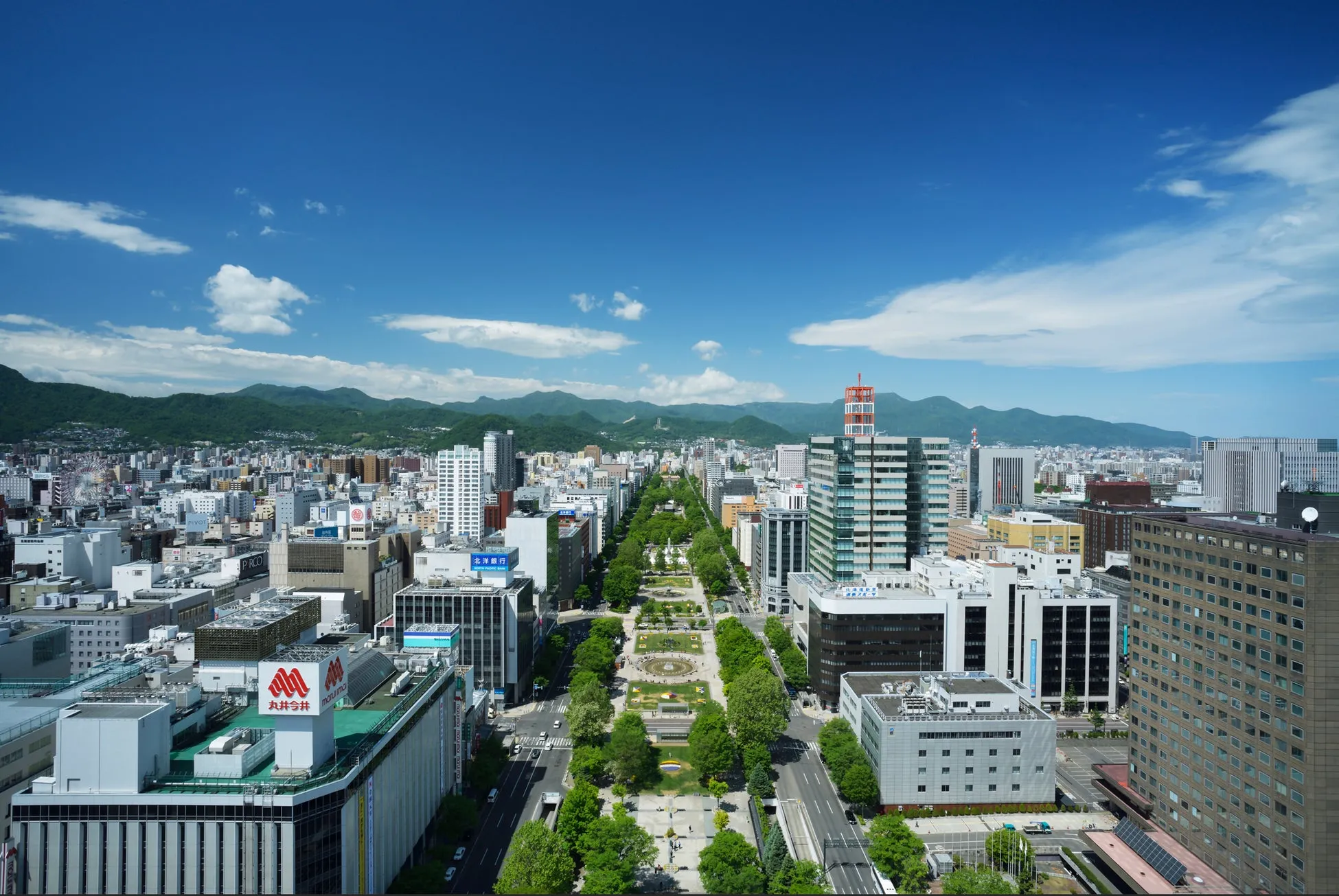 札幌市中心部の都市景観。緑豊かな並木道が特徴で、背景には山々が広がっている。