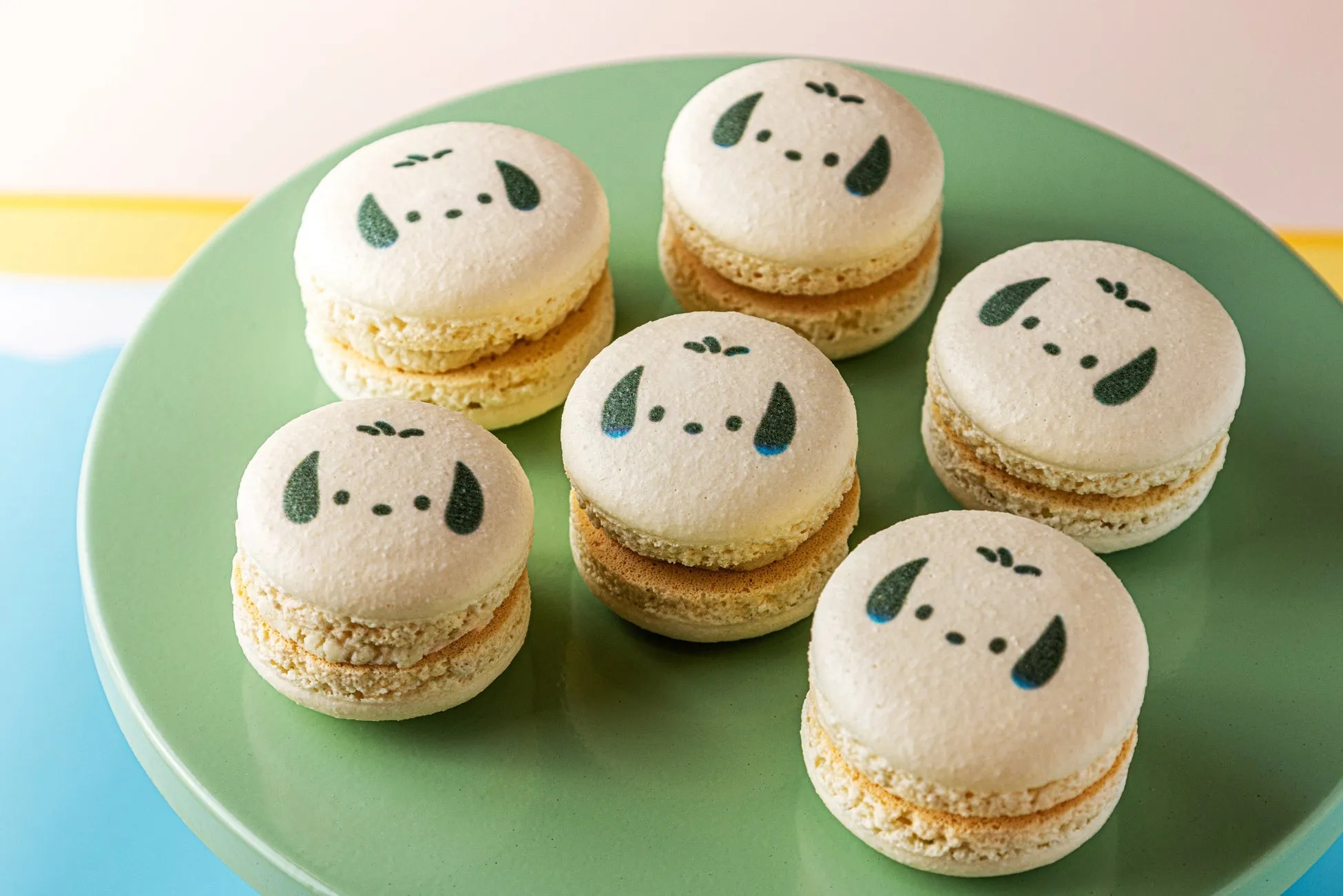 犬の顔が描かれたマカロンが、緑色の皿に並べられている様子。