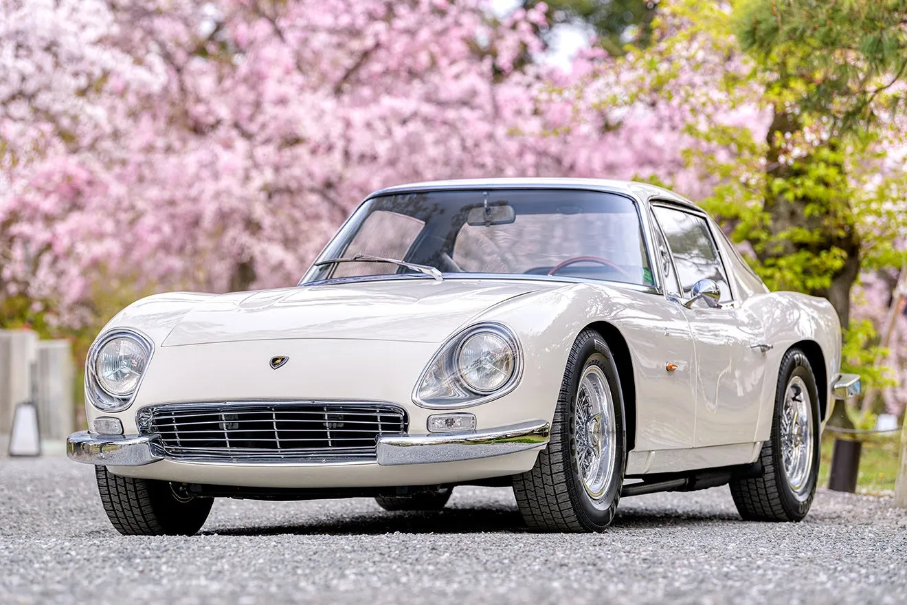 満開の桜を背景に、白いボディが美しいクラシックなランボルギーニが佇む風景です。春の穏やかな日差しの中で、優雅な雰囲気を醸し出す高級スポーツカーが印象的です。